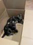 Sam und Sally3